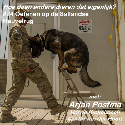 episode #24 Oefenen op de Sallandse Heuvelrug artwork