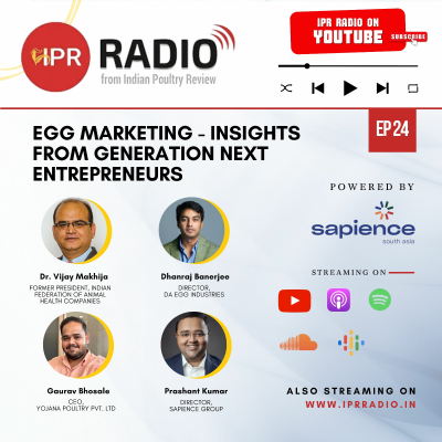 episode Egg Marketing - Insights from Generation Next Entrepreneurs artwork