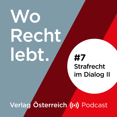 episode #7 Strafrecht im Dialog II artwork