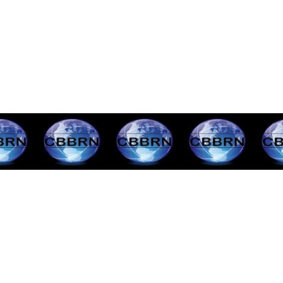 episode Nursing Inspired Coach and Speaker Fallon M. Flowers on CBBN Business Journals. artwork