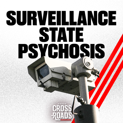 episode Is Mass Surveillance Making Us Crazy? artwork