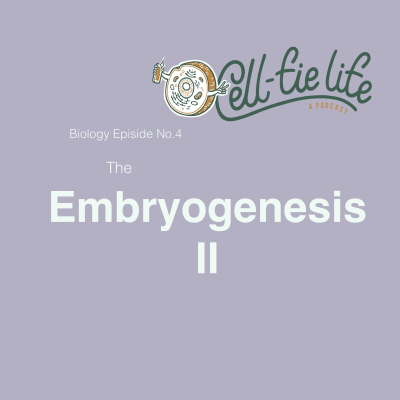 episode MCAT -5- Embryogenesis II artwork