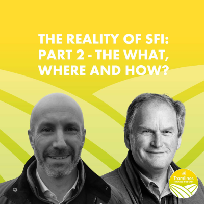 episode The Reality of SFI: Part 2 - The What, Where and How? artwork