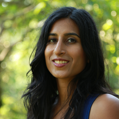 episode "Traumacracy: Towards a Constructive Politics" artwork