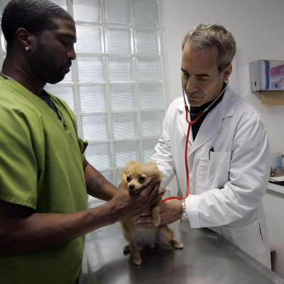 episode Everything’s more expensive!! Pet care!! Concert tickets!! (Two Indicators) artwork