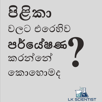 episode Cancer Research and how to become a Cancer Researcher - with Dr. Vajira Weerasekara (Episode 1) artwork