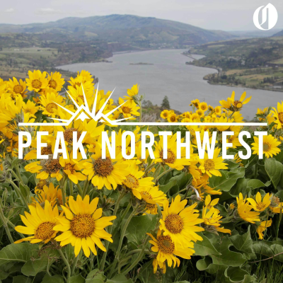 episode Where to find the best wildflower hikes in the Columbia River Gorge artwork