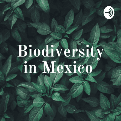 Biodiversity in Mexico