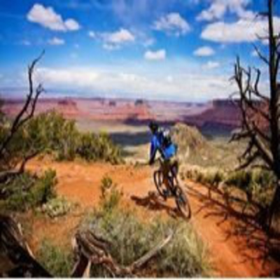 Mountain Bike en estado Puro!!!