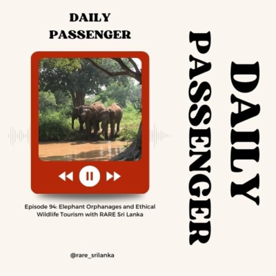 episode 94: How Ethical Are Elephant Orphanage Tourism in Sri Lanka with RARE Sri Lanka artwork