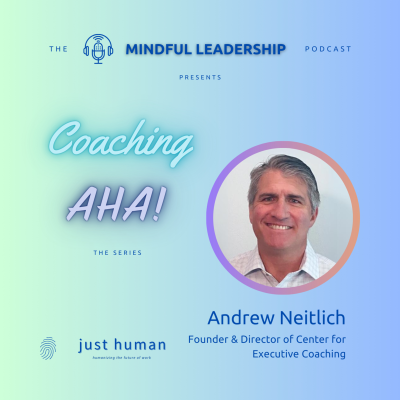 episode S2E14 Coaching AHA with Andrew Neitlich artwork