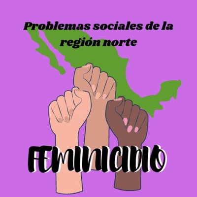 Problemas Sociales De La Región Norte: FEMINICIDIO