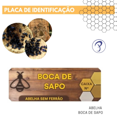 episode Abelhas sem ferrão: Boca-de-Sapo artwork