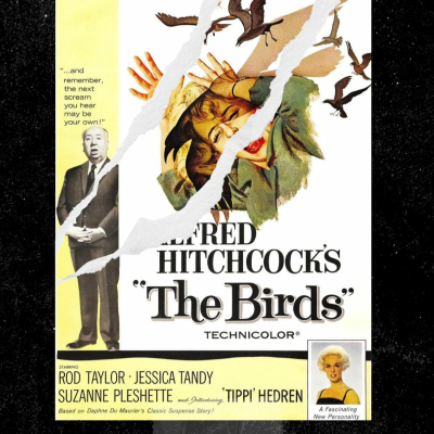 episode 36. The Birds — 31 DAYS OF HORROR (Day 27) artwork