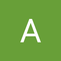 AnaPacheco1
