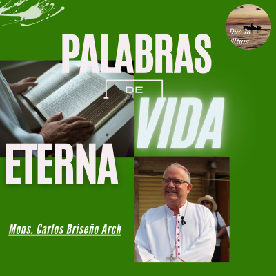 episode T4. Ep. 19. Esa pobre viuda ha echado en la alcancía más que todos. artwork
