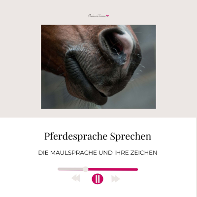 episode Maulsprache der Pferde – DAS musst du wissen! artwork