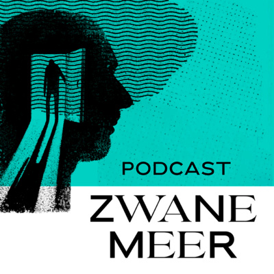 episode Trailer Het Zwanemeer artwork