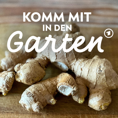 episode Superfood Ingwer selbst anbauen artwork