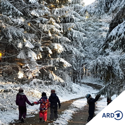 episode Mit allen Sinnen: Ein Wintertag im Waldkindergarten artwork