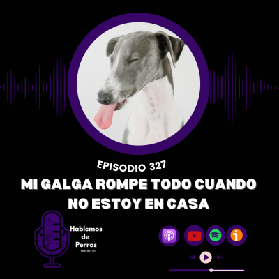 episode Episodio #327: Mi galga rompe todo cuando no estoy en casa artwork