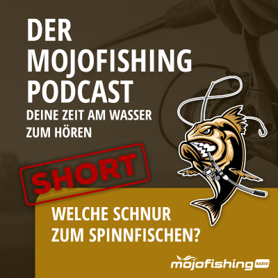 episode SHORT - Welche Schnur zum Spinnfischen? artwork