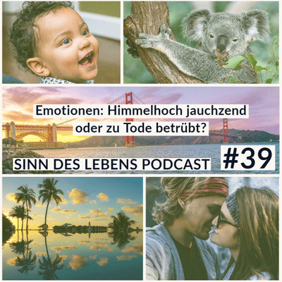 episode #39 Himmelhoch jauchzend oder zu Tode betrübt? Emotionen machen Dein Leben reicher | Sinn des Lebens Podcast artwork