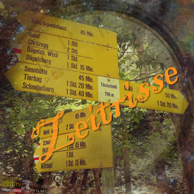episode Das Wildasyl am Tössstock artwork