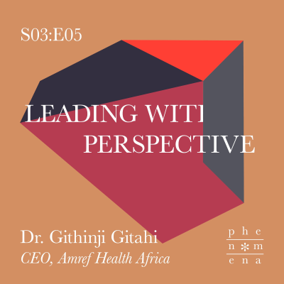 episode Leading with Perspective – with Githinji Gitahi artwork