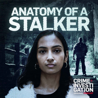 Anatomy of a Stalker