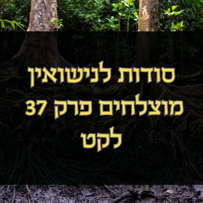 episode סודות לנישואין מוצלחים פרק 37 - לקט artwork