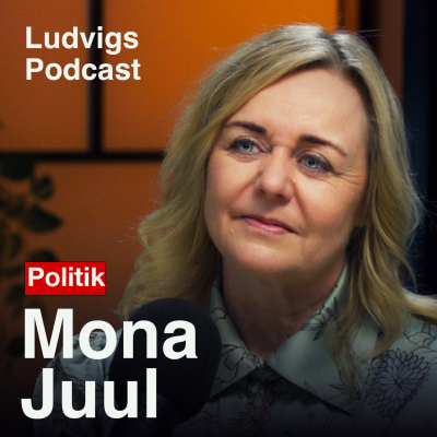 episode Mona Juul: Fra Erhvervsliv Til Folketing | 244 artwork