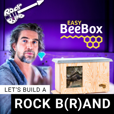 episode easyBeeBox – Die Gründer im Interview artwork