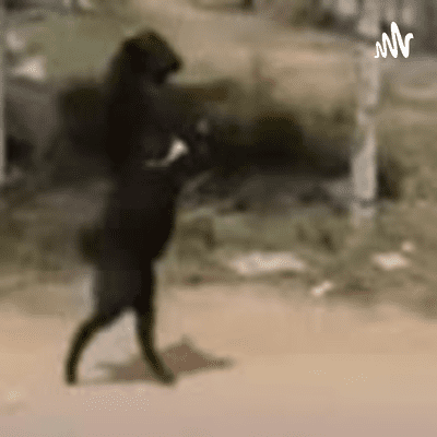 "La cabra que se para en 2 patas"