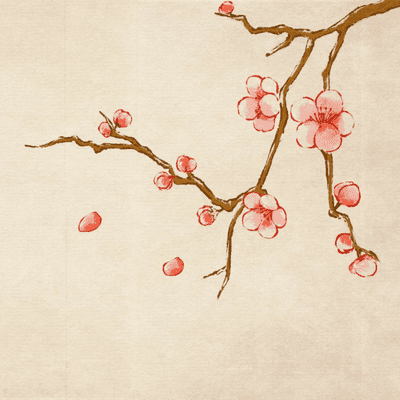 Kiến thức tâm linh và đời sống | Tâm Linh Toàn Thư
