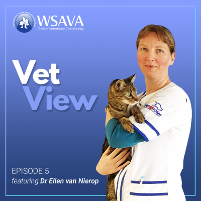 episode Ep 5. A day in the life of: Ellen van Nierop (in Ecuador) artwork