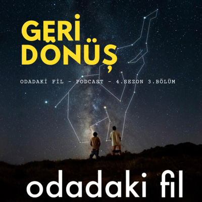 episode Geri Dönüş - Odadaki Fil (4.Sezon 3.Bölüm) artwork