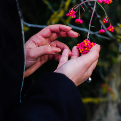 episode Kinderhörspiel und Geschichten - Ole und die heilige Susanna artwork
