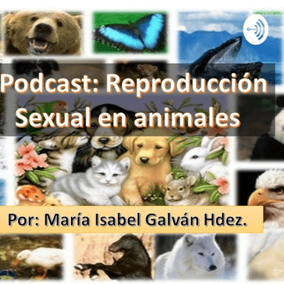 Reproducción sexual en animales