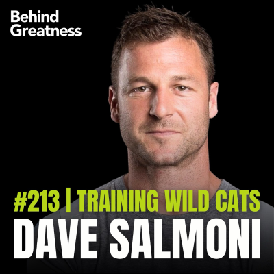 episode 213. David Salmoni – Zoologist / Big Cat Expert / Animal Presenter - Trying A Lot of What-Ifs artwork