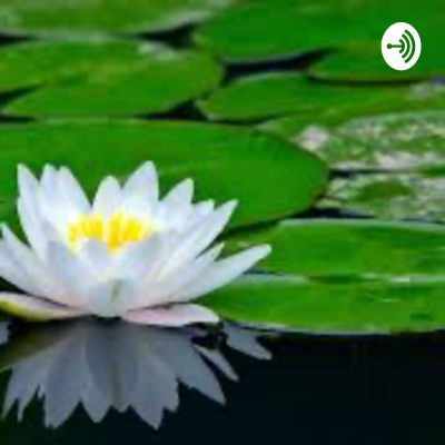 Kansikuva näyttelystä Budismo aplicado en español