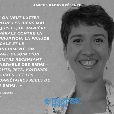 episode Sophie Lemaître : Les biens mal acquis, interview intégrale artwork