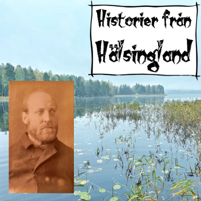 episode Svindlaren från Bollnäs artwork