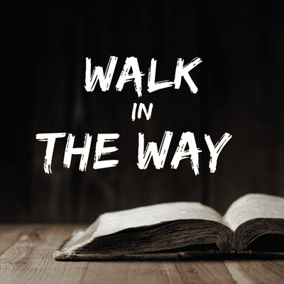 Walk in The Way