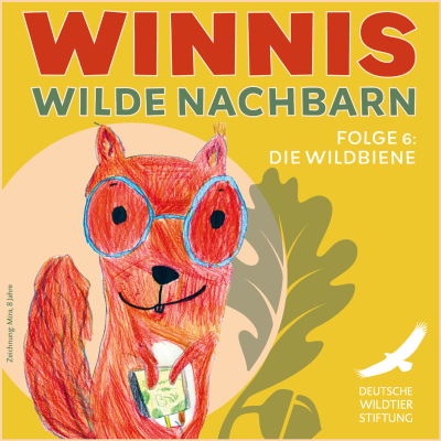 episode 06 Die Wildbiene: Dicke Brummer, wollige Nester und Star Wars auf der Blumenwiese artwork