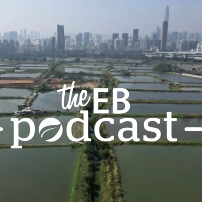 episode ‘Listen to ecologists – don’t bury nature under cement’: Hong Kong faces acute biodiversity loss as megaprojects loom artwork