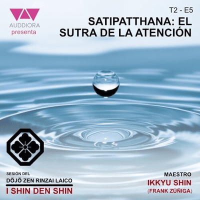 episode T2-P5. Satipatthana: El sutra de la atención artwork