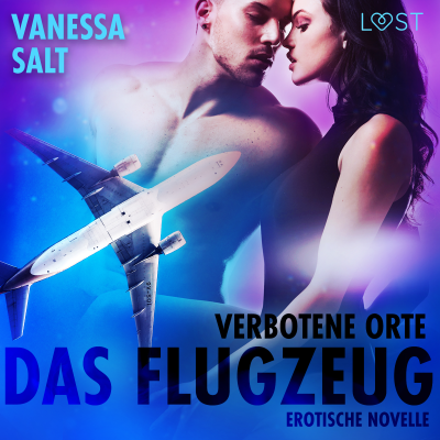 Cover image Verbotene Orte: Das Flugzeug - Erotische Novelle