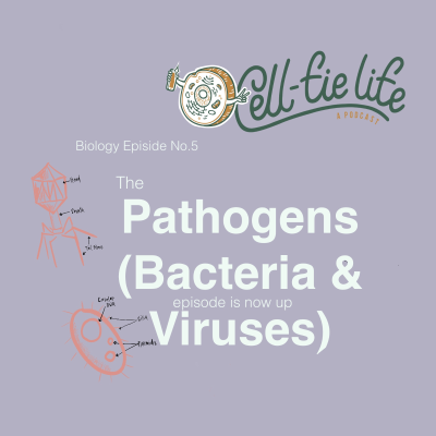 episode Bacteria artwork