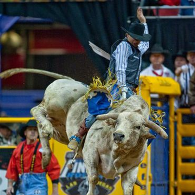 episode Bull riding i Benidorm artwork